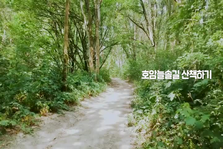 제9대 금천구의회 전반기 홍보동영상